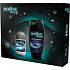 Palmolive Men Refreshing 3 in 1 Duschgel für Körper, Gesicht und Haar 250 ml + Pure Arctic Antitranspirant Roll-on 50 ml, Kosmetikset