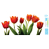Bogen Ganzjahresaufkleber, Fensterfolie ohne Kleber Roter Tulpenstreifen 35 x 16 cm