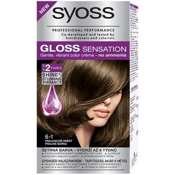 Syoss Gloss Sensation Sanfte Haarfarbe ohne Ammoniak 6-1 Pralinenbraun 115 ml