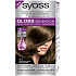 Syoss Gloss Sensation Sanfte Haarfarbe ohne Ammoniak 6-1 Pralinenbraun 115 ml