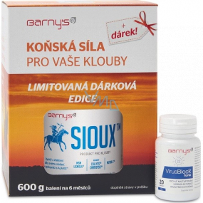 Barnys Sioux MSM für Gelenke und den gesamten Bewegungsapparat 600 g + VirusBlock Forte für den schnellen Start einer normalen Funktion des Immunsystems Nahrungsergänzungsmittel 20 Kapseln, Geschenkset