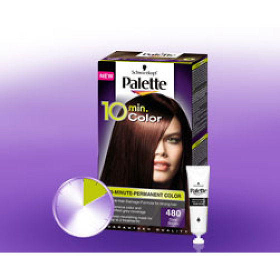Schwarzkopf Palette 10 Minuten Haarfarbe 480 Kastanienbraun
