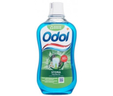 Odol Stoma Paradentol Mundwasser 500 ml