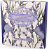 Somerset Toiletry Lavendel funkelnde Blume für Bad 4 x 40 g