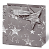 BSB Luxus Geschenk Papiertüte 23 x 19 x 9 cm Winterbeschichtungen VDT 411 - CD