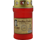 Bony Grabkerze Anežka Čechische Rot