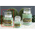 Lima Aroma Dreams Grüner Tee aromatisches Kerzenglas mit Deckel 450 g 1 Stück