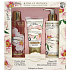 Jeanne en Provence Pivoine Féérie - Pfingstrosenfee-Handcreme 75 ml + Körperlotion 250 ml + Duschöl 250 ml, Kosmetikset