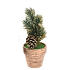 Dekoration Weihnachtsbaum in einem Topf Gold 17 x 6,5 x 6,5 cm