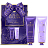 Grace Cole Lavender Sleep Therapy Handcreme 50 ml + Körpercreme 50 ml, Kosmetikset für Frauen