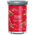 Yankee Candle Sparkling Cinnamon - Sparkling Cinnamon Kerze Signature Tumbler großes Glas 2 Dochte 567 g