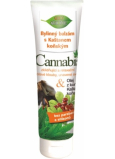 Bione Cosmetics Cannabis Kräuterbalsam mit Rosskastanie 300 ml