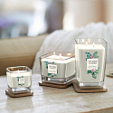 Yankee Candle Exotic Bergamot - Exotische Bergamotte Soja Duftkerze Elevation Kleines Glas 1 Docht 96 g