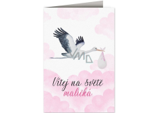 Nekupto Baby Wunschkarte Storch mit Baby rosa 115 x 170 mm
