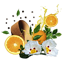 Compagnia Delle Indie 21 Orange und Leder Eau de Parfum für Männer und Frauen 75 ml