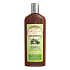 Biotter GlySkinCare Macadamia-Öl-Shampoo für trockenes und strapaziertes Haar 250 ml