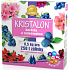 Agro Kristalon Rhododendron wasserlöslicher Universaldünger 0,5 kg für 250 l Gießwasser