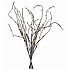 Emos Astleuchte 60 cm, 24 LEDs + 0,3 m Kabel + Zeitschaltuhr, warmweiß