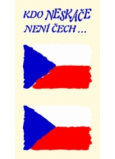 Arch Tattoo Decals für Gesicht und Körper Czech Flag 2 Motiv