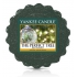Yankee Candle The Perfect Tree - Perfektes baumduftendes Wachs für Aromalampe 22 g