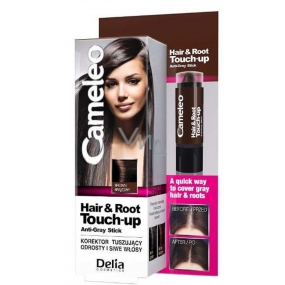 Delia Cosmetics Cameleo Haar- und Wurzel-Concealer bedeckt Wurzeln und graues Haar Braun 4,6 g