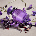 Dolce & Gabbana Dolce Violet Eau de Toilette für Frauen 75 ml