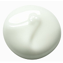 Payot Pate Grise Gel Matifiant Anti-Unvollkommenheiten täglich mattierendes Gel für Mischhaut bis fettige Haut 50 ml
