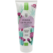 Lirene Power of Plants Opuntia glättender Körperbalsam 200 ml