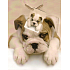 Nekupto Geschenk Papiertüte 23 x 18 x 10 cm Hundewelpe 1 Stück 811 01 BM