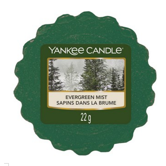 Yankee Candle Evergreen Mist - Waldnebel duftendes Wachs für Aromalampen 22 g