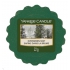 Yankee Candle Evergreen Mist - Waldnebel duftendes Wachs für Aromalampen 22 g