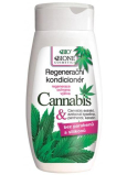 Bione Cosmetics Cannabis regenerierender Conditioner für alle Haartypen 260 ml