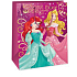 Ditipo Geschenk Papiertüte 33 x 10,2 x 45,7 cm Disney Princess, Song Door