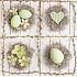 Nekupto Papierservietten 3-lagig 33 x 33 cm 20 Stück Ostergrüne Eier im Nest