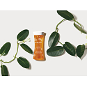 Payot My Payot Peeling Eclat Mikro-Exfoliations-Primer für den täglichen Effekt neuer Haut, aufhellende Gesichtspflege 125 ml