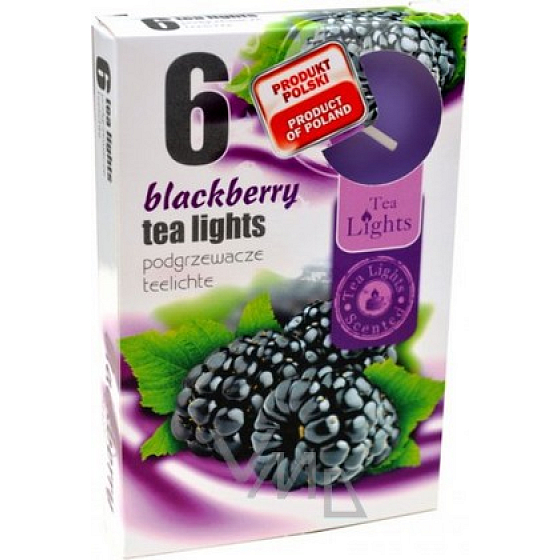 Teelichter Brombeere duftende Teelichter 6 Stück