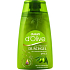 Dalan d Olivenöl mit Olivenöl Duschgel 250 ml