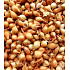 Stuttgart, Zwiebelpflanzgefäß 25 kg