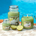 Yankee Candle Vanilla Lime - Vanille mit Limetten-Duftkerze Klassisches mittleres Glas 411 g