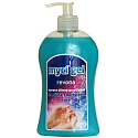 Revona Hochwirksames Waschgel 500 ml