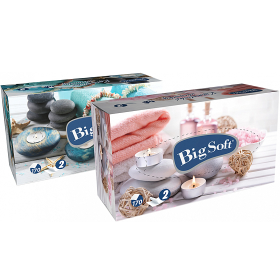 Big Soft Deluxe Kosmetiktücher 2-lagig 170 Stück