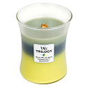 WoodWick Trilogy Woodland Shade - Waldschatten-Duftkerze mit Holzdocht und Deckelglas Medium 275 g