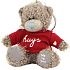 Ich zu dir Teddybär in einem T-Shirt mit der Aufschrift Umarmungen Plüsch Schlüsselbund 7,5 cm