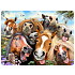 Prime3D Postkarte - Horses Selfie 16 x 12 cm