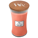 WoodWick Tamarind & Stonefruit - Duftkerze aus Tamarinde und Stein mit Holzdocht und Deckelglas groß 609 g