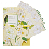 Heathcote & Ivory Neroli & Lime Leaves parfümiertes Papier 5 Blatt