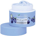 Bielenda Blueberry C-Tox Feuchtigkeitsspendender und aufhellender Gesichtscremeschaum Tag/Nacht 40 g