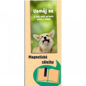 Albi Magnetisches Lesezeichen zum Buch Smile 8,7 x 4,4 cm