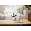 Yankee Candle Pink Sands - Pink Sands Duftkerze Signature Tumbler großes Glas 2 Dochte 567 g