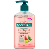 Sanytol Rosa Grapefruit & Frische Zitrone Desinfektionsseife für die Küche 250 ml mit Spender